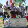 Best Junior in Show - Hochland Dog Club 2018