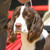 kodi